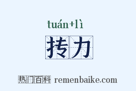 抟力是什么意思的图片